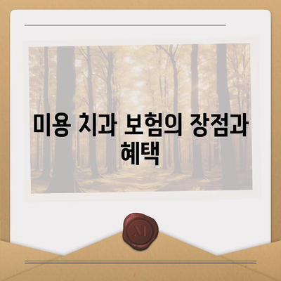 미용 치과 보험으로 치과 치료 비용 효과적으로 관리