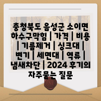 충청북도 음성군 소이면 하수구막힘 | 가격 | 비용 | 기름제거 | 싱크대 | 변기 | 세면대 | 역류 | 냄새차단 | 2024 후기