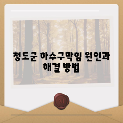 경상북도 청도군 금천면 하수구막힘 | 가격 | 비용 | 기름제거 | 싱크대 | 변기 | 세면대 | 역류 | 냄새차단 | 2024 후기