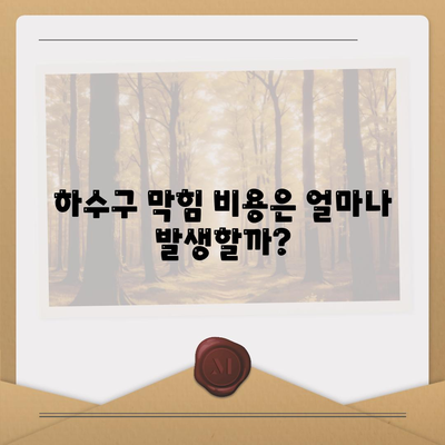 충청남도 청양군 대치면 하수구막힘 | 가격 | 비용 | 기름제거 | 싱크대 | 변기 | 세면대 | 역류 | 냄새차단 | 2024 후기