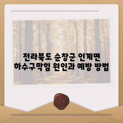 전라북도 순창군 인계면 하수구막힘 | 가격 | 비용 | 기름제거 | 싱크대 | 변기 | 세면대 | 역류 | 냄새차단 | 2024 후기