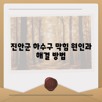 전라북도 진안군 용담면 하수구막힘 | 가격 | 비용 | 기름제거 | 싱크대 | 변기 | 세면대 | 역류 | 냄새차단 | 2024 후기