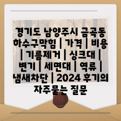 경기도 남양주시 금곡동 하수구막힘 | 가격 | 비용 | 기름제거 | 싱크대 | 변기 | 세면대 | 역류 | 냄새차단 | 2024 후기