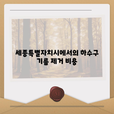 세종시 세종특별자치시 연서면 하수구막힘 | 가격 | 비용 | 기름제거 | 싱크대 | 변기 | 세면대 | 역류 | 냄새차단 | 2024 후기