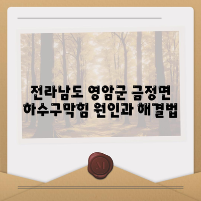 전라남도 영암군 금정면 하수구막힘 | 가격 | 비용 | 기름제거 | 싱크대 | 변기 | 세면대 | 역류 | 냄새차단 | 2024 후기