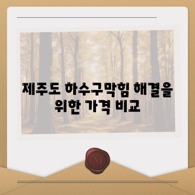 제주도 제주시 이도1동 하수구막힘 | 가격 | 비용 | 기름제거 | 싱크대 | 변기 | 세면대 | 역류 | 냄새차단 | 2024 후기