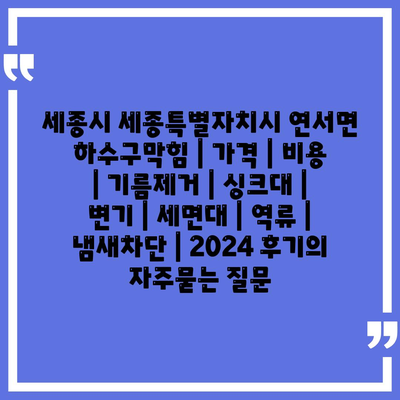 세종시 세종특별자치시 연서면 하수구막힘 | 가격 | 비용 | 기름제거 | 싱크대 | 변기 | 세면대 | 역류 | 냄새차단 | 2024 후기