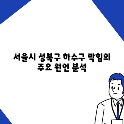 서울시 성북구 장위1동 하수구막힘 | 가격 | 비용 | 기름제거 | 싱크대 | 변기 | 세면대 | 역류 | 냄새차단 | 2024 후기