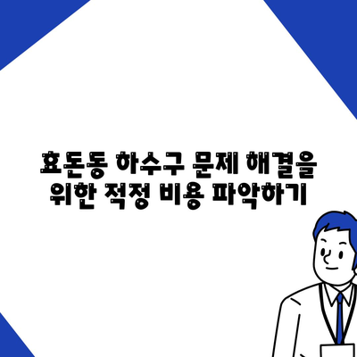 제주도 서귀포시 효돈동 하수구막힘 | 가격 | 비용 | 기름제거 | 싱크대 | 변기 | 세면대 | 역류 | 냄새차단 | 2024 후기