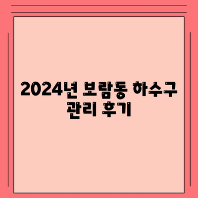 세종시 세종특별자치시 보람동 하수구막힘 | 가격 | 비용 | 기름제거 | 싱크대 | 변기 | 세면대 | 역류 | 냄새차단 | 2024 후기