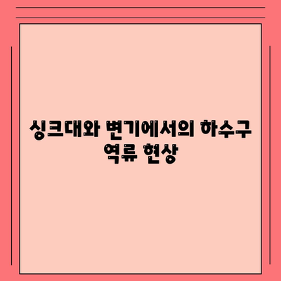 충청북도 음성군 소이면 하수구막힘 | 가격 | 비용 | 기름제거 | 싱크대 | 변기 | 세면대 | 역류 | 냄새차단 | 2024 후기