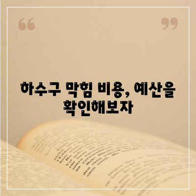 광주시 동구 충장동 하수구막힘 | 가격 | 비용 | 기름제거 | 싱크대 | 변기 | 세면대 | 역류 | 냄새차단 | 2024 후기