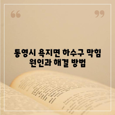 경상남도 통영시 욕지면 하수구막힘 | 가격 | 비용 | 기름제거 | 싱크대 | 변기 | 세면대 | 역류 | 냄새차단 | 2024 후기