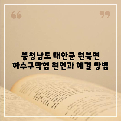 충청남도 태안군 원북면 하수구막힘 | 가격 | 비용 | 기름제거 | 싱크대 | 변기 | 세면대 | 역류 | 냄새차단 | 2024 후기