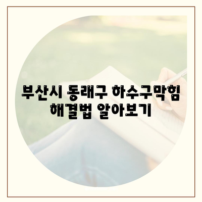 부산시 동래구 사직3동 하수구막힘 | 가격 | 비용 | 기름제거 | 싱크대 | 변기 | 세면대 | 역류 | 냄새차단 | 2024 후기