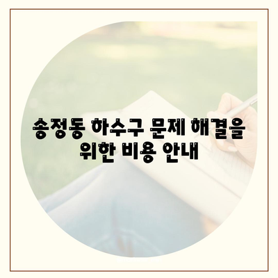 경기도 광주시 송정동 하수구막힘 | 가격 | 비용 | 기름제거 | 싱크대 | 변기 | 세면대 | 역류 | 냄새차단 | 2024 후기