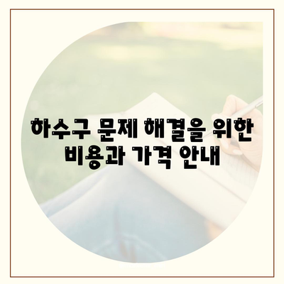 경상북도 성주군 초전면 하수구막힘 | 가격 | 비용 | 기름제거 | 싱크대 | 변기 | 세면대 | 역류 | 냄새차단 | 2024 후기