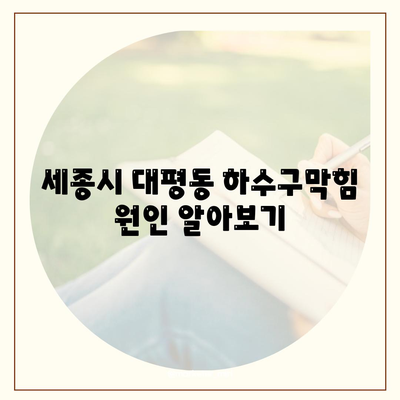 세종시 세종특별자치시 대평동 하수구막힘 | 가격 | 비용 | 기름제거 | 싱크대 | 변기 | 세면대 | 역류 | 냄새차단 | 2024 후기