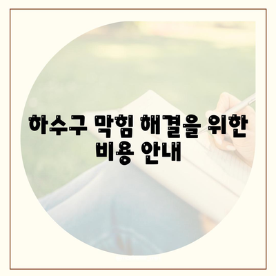 충청북도 진천군 이월면 하수구막힘 | 가격 | 비용 | 기름제거 | 싱크대 | 변기 | 세면대 | 역류 | 냄새차단 | 2024 후기