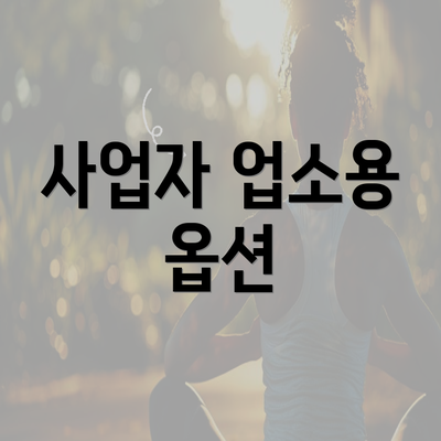 사업자 업소용 옵션