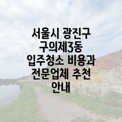 서울시 광진구 구의제3동 입주청소 비용과 전문업체 추천 안내