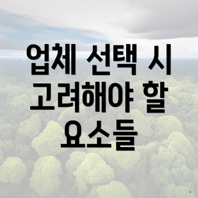 업체 선택 시 고려해야 할 요소들