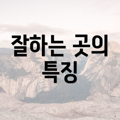 잘하는 곳의 특징