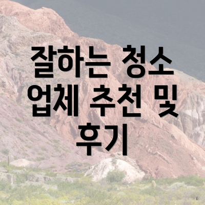 잘하는 청소 업체 추천 및 후기