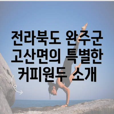 전라북도 완주군 고산면의 특별한 커피원두 소개