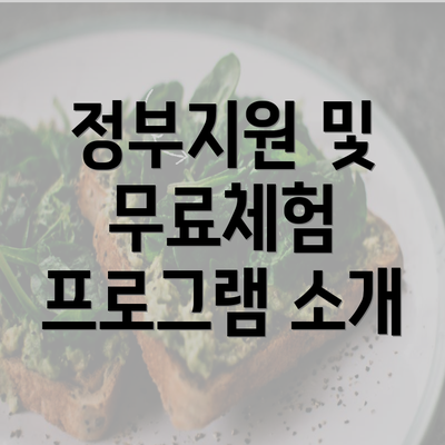 정부지원 및 무료체험 프로그램 소개