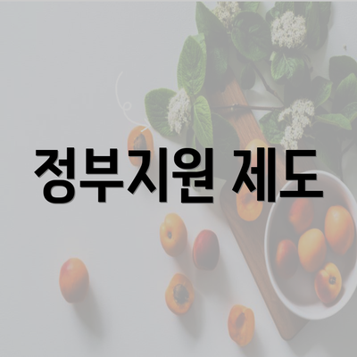 정부지원 제도