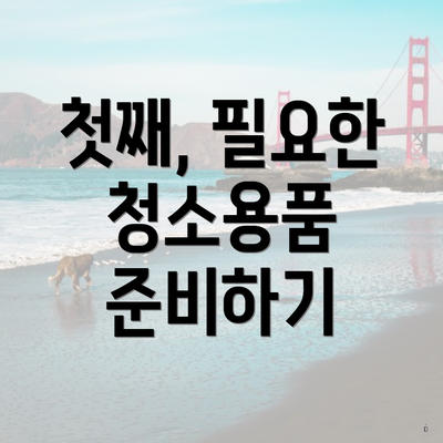 첫째, 필요한 청소용품 준비하기