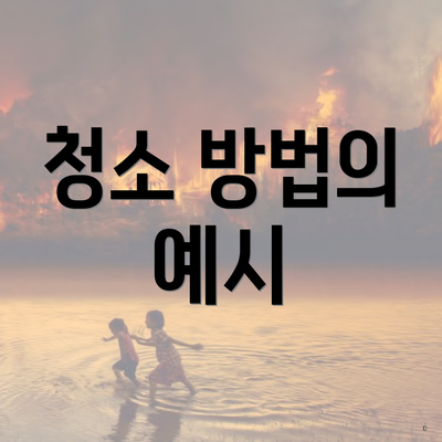 청소 방법의 예시