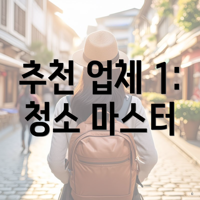 추천 업체 1: 청소 마스터