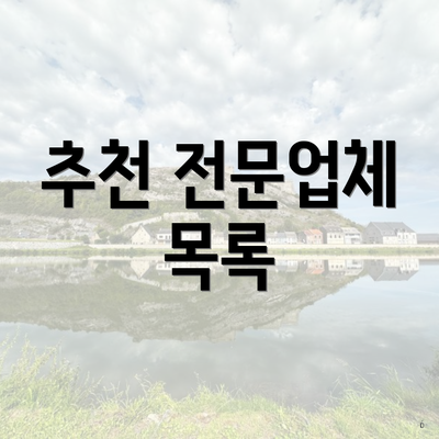 추천 전문업체 목록