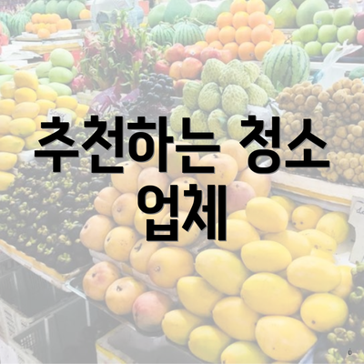 추천하는 청소 업체