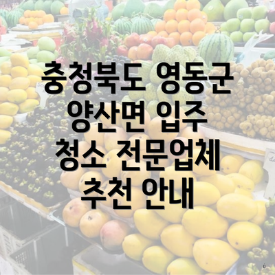 충청북도 영동군 양산면 입주 청소 전문업체 추천 안내