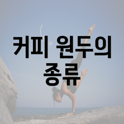 커피 원두의 종류