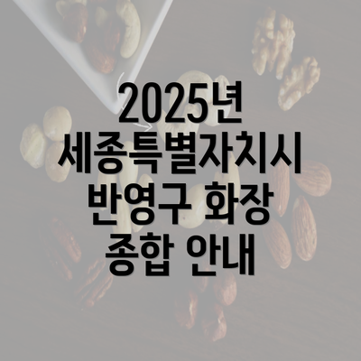 2025년 세종특별자치시 반영구 화장 종합 안내