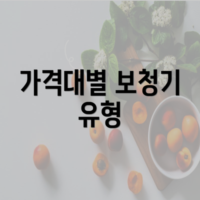 가격대별 보청기 유형