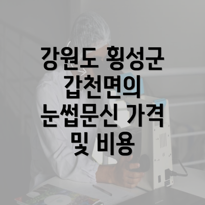 강원도 횡성군 갑천면의 눈썹문신 가격 및 비용