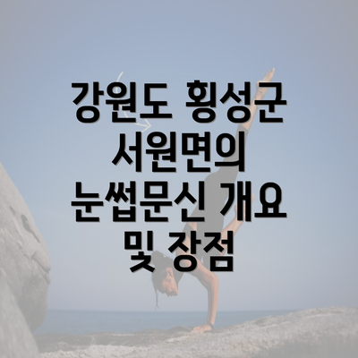 강원도 횡성군 서원면의 눈썹문신 개요 및 장점