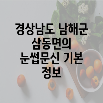 경상남도 남해군 삼동면의 눈썹문신: 자연스럽고 반영구적인 아름다움을 위한 모든 것