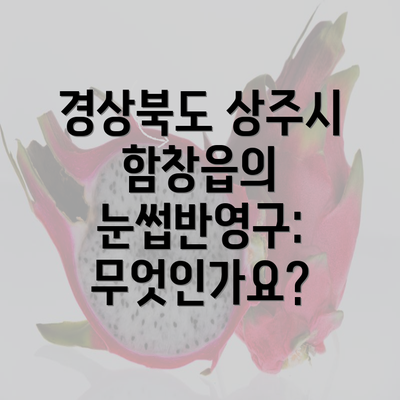 경상북도 상주시 함창읍의 눈썹반영구: 무엇인가요?