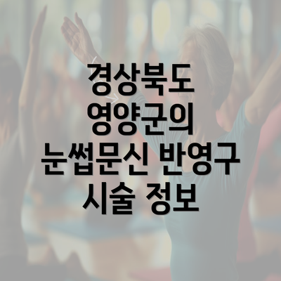 경상북도 영양군의 눈썹문신 반영구 시술 정보