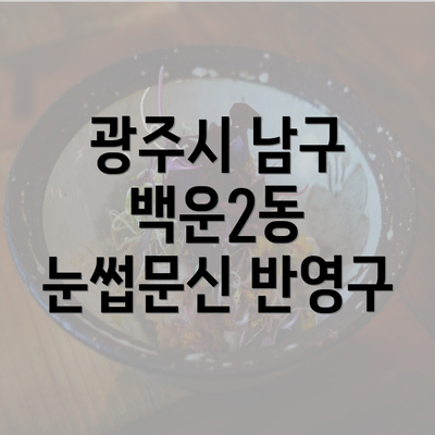 광주시 남구 백운2동 눈썹문신 반영구