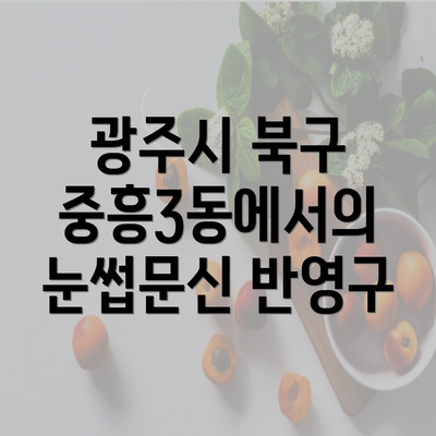 광주시 북구 중흥3동에서의 눈썹문신 반영구