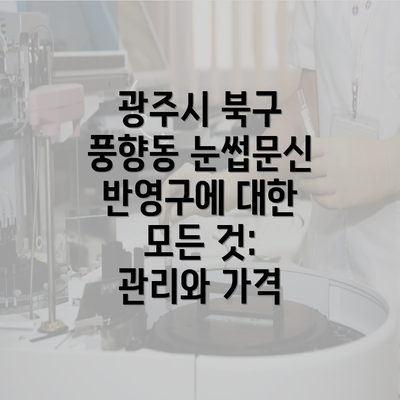 광주시 북구 풍향동 눈썹문신 반영구에 대한 모든 것: 관리와 가격