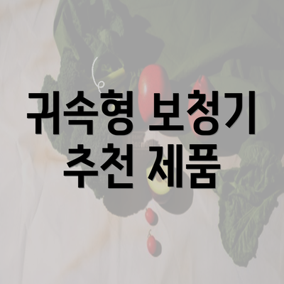 귀속형 보청기 추천 제품