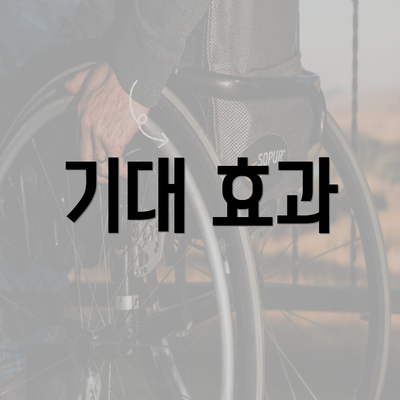 기대 효과